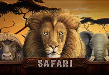 Safari